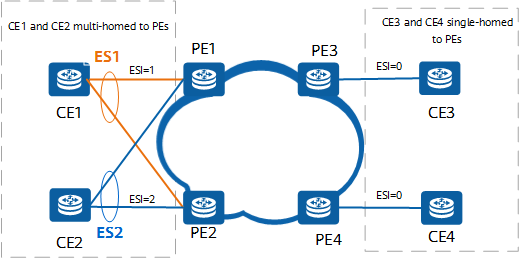 EVPN networking