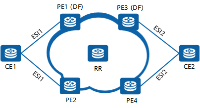 EVPN networking